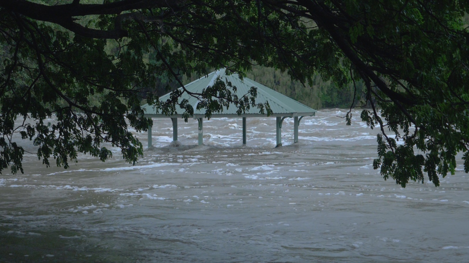 Job Vacancies Townsville Builder Grady Homes